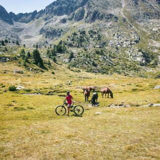 Sport et nature