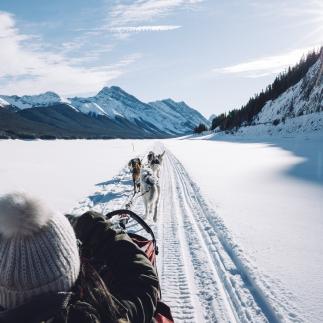 Esquí i altres esports d'hivern