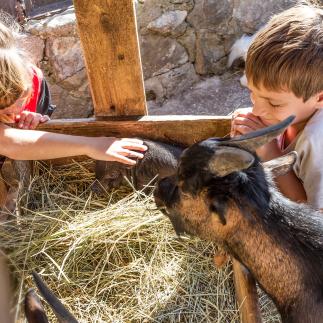 Visiter Andorre avec des enfants